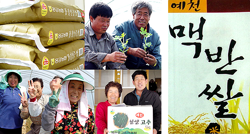 예천 회룡포마을 주민 사진 + 예천 맥반석쌀 사진