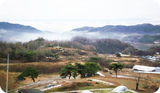 유천면 전경
