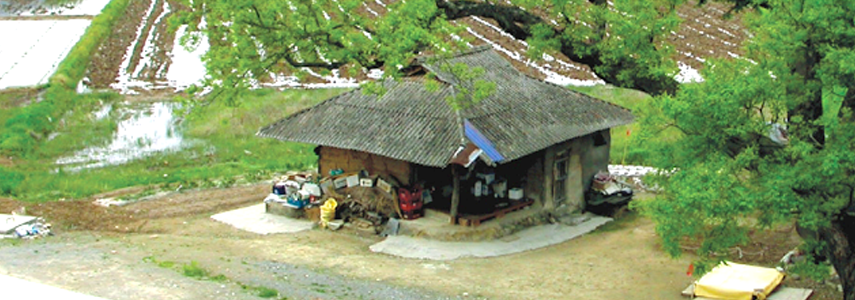 鶴駕山友来自然休養林