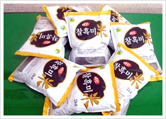 마산 찰흑미
