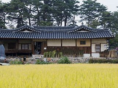 물체당