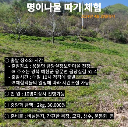 금당실정보화마을에서 진행하는 '명이나물 뜯기'체험 안내