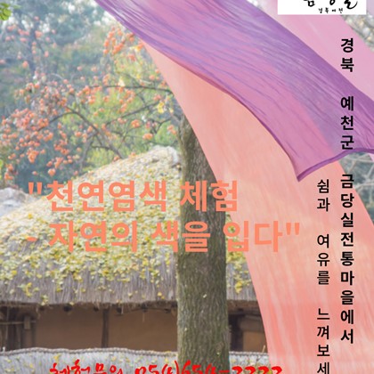 금당실전통마을에서 진행하는 체험, 천연염색으로 물들이다..