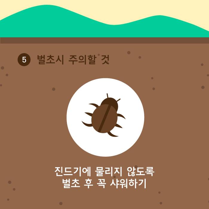6.★ 군민 생활정보 - 추석맞이 벌초 시 주의사항★
