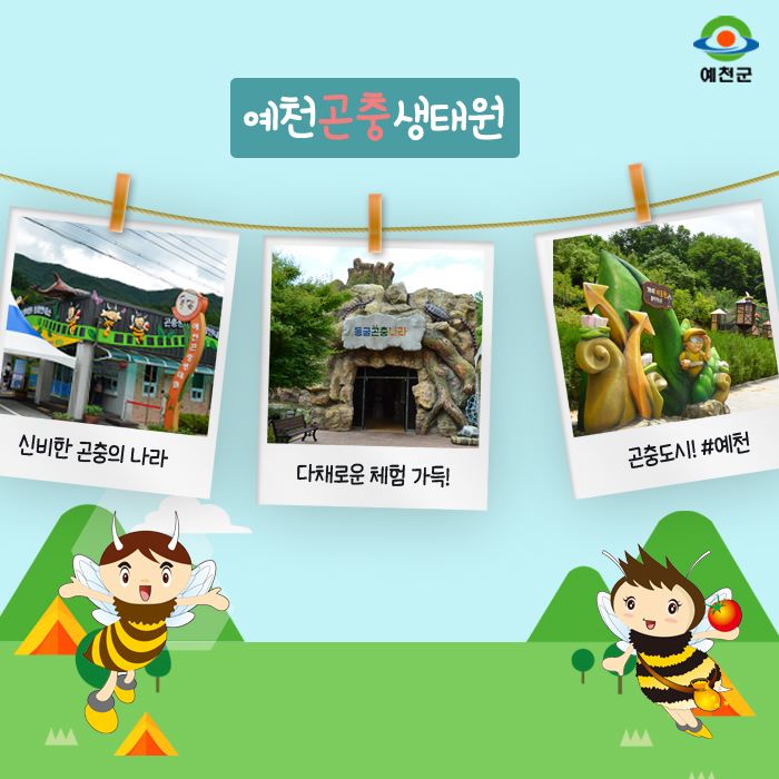 4.오늘은 예천에서 놀자!!