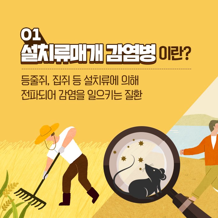 2.설치류매개 감염병 주의안내