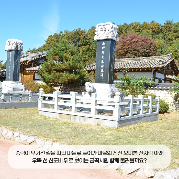 4.예천 금당실 송림과 금곡서원