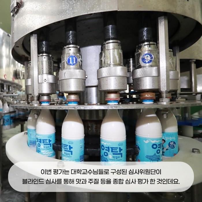 3.영탁막걸리 막걸리 부문 베스트 전통주 수상