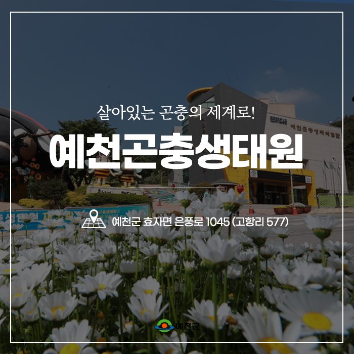 살아있는 곤충의 세계로! 예천곤충생태원 예천군 효자면 은풍로 1045(고향리 577)