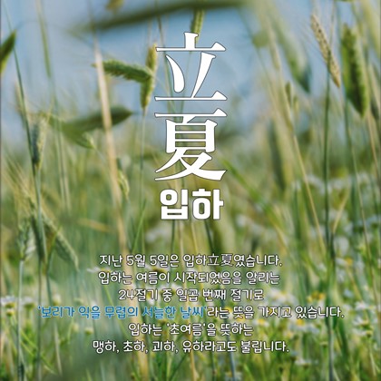 [24절기 중 일곱 번째 절기] '입하'