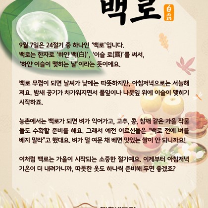 [24절기 중 열다섯 번째 절기] '백로'