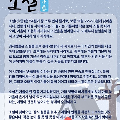[24절기 스무 번째 절기] '소설'