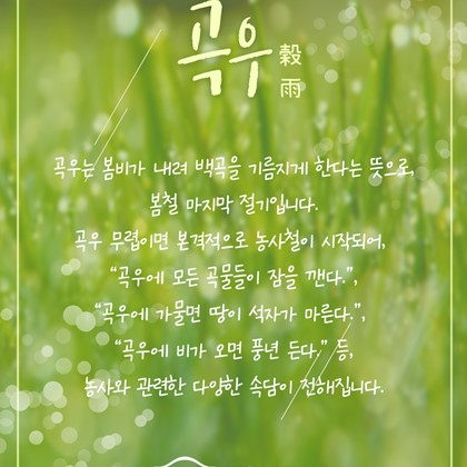 [24절기 여섯 번째 절기] '곡우'