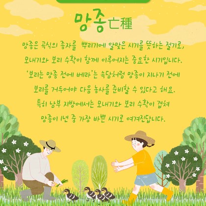 [24절기 아홉 번째 절기] '망종'