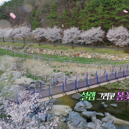 이달의 영상 '봄꽃의 향연'(2020.04)