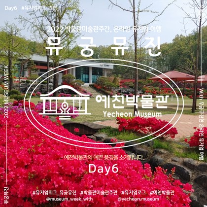 2022 박물관·미술관주간｜뮤궁뮤진 Day6 !