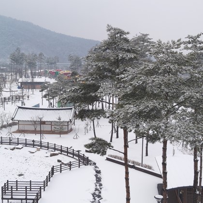 삼강문화단지 설경