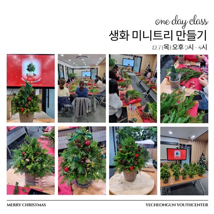 원데이클래스 <생화 미니트리 만들기>