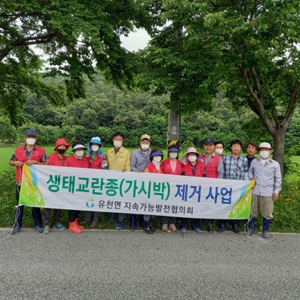 지속가능발전협의회 가시박제거 사업현장(6.16.)